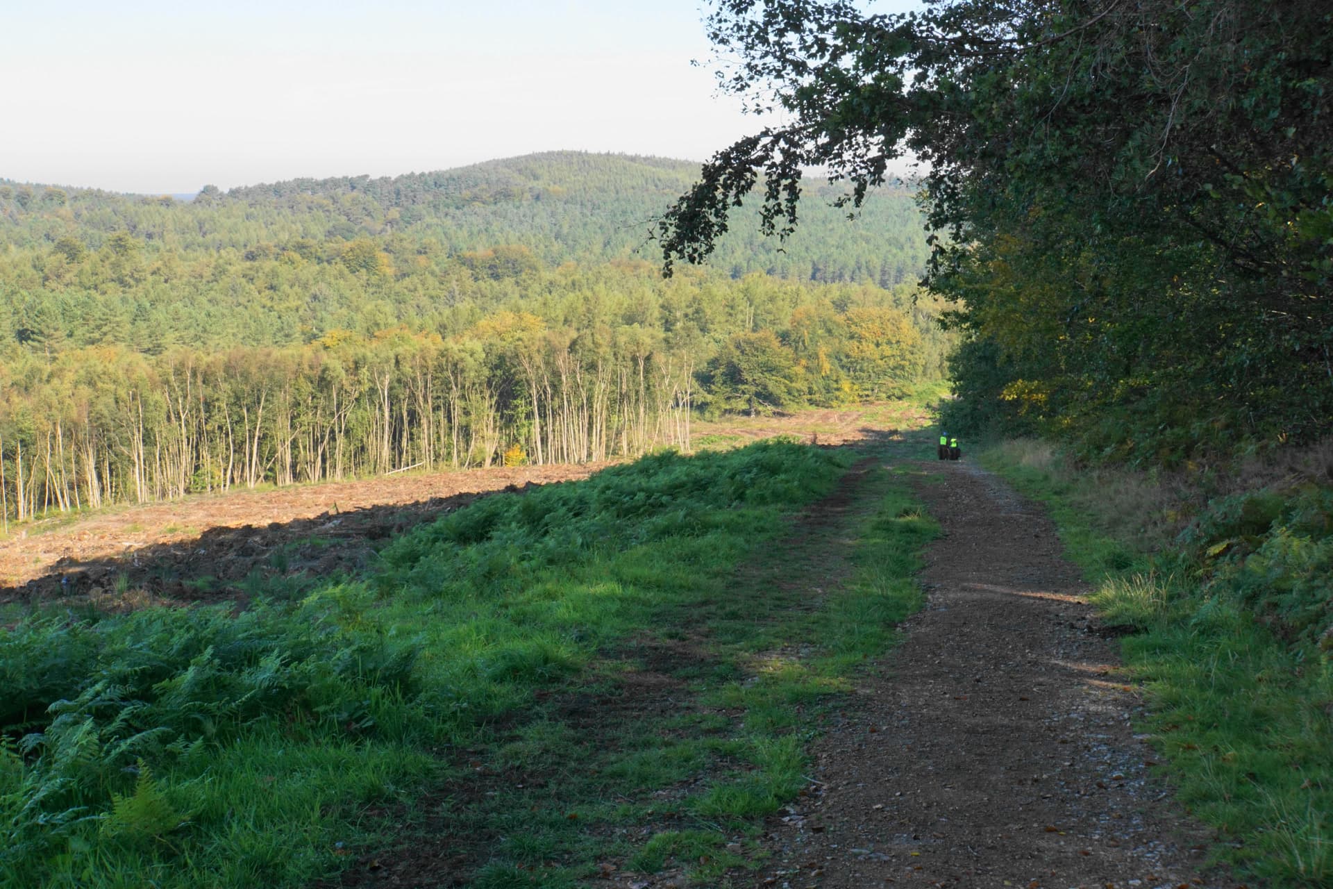 Heart of England Way footpath on Cannock Chase, Staffordshire