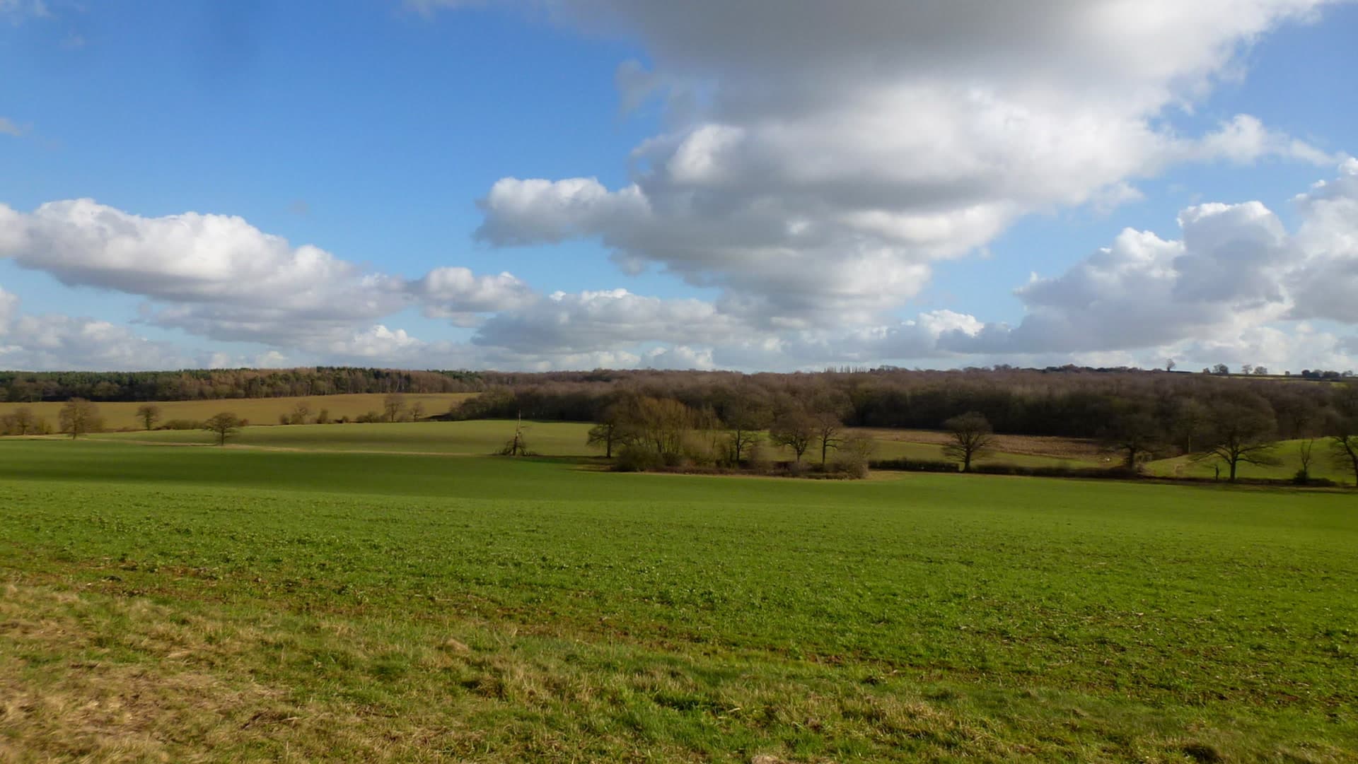 North Warwickshire countryside, Warwickshire